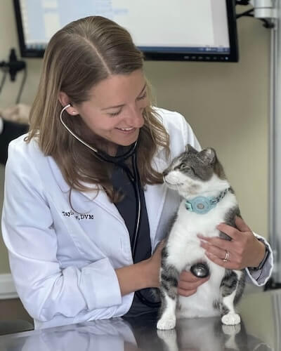 Veterinary clinic in San Diego
