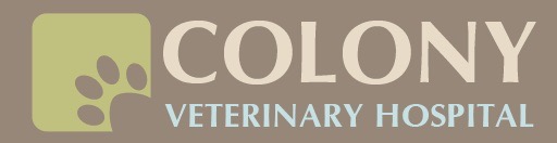 Colony Veterinary Hospital